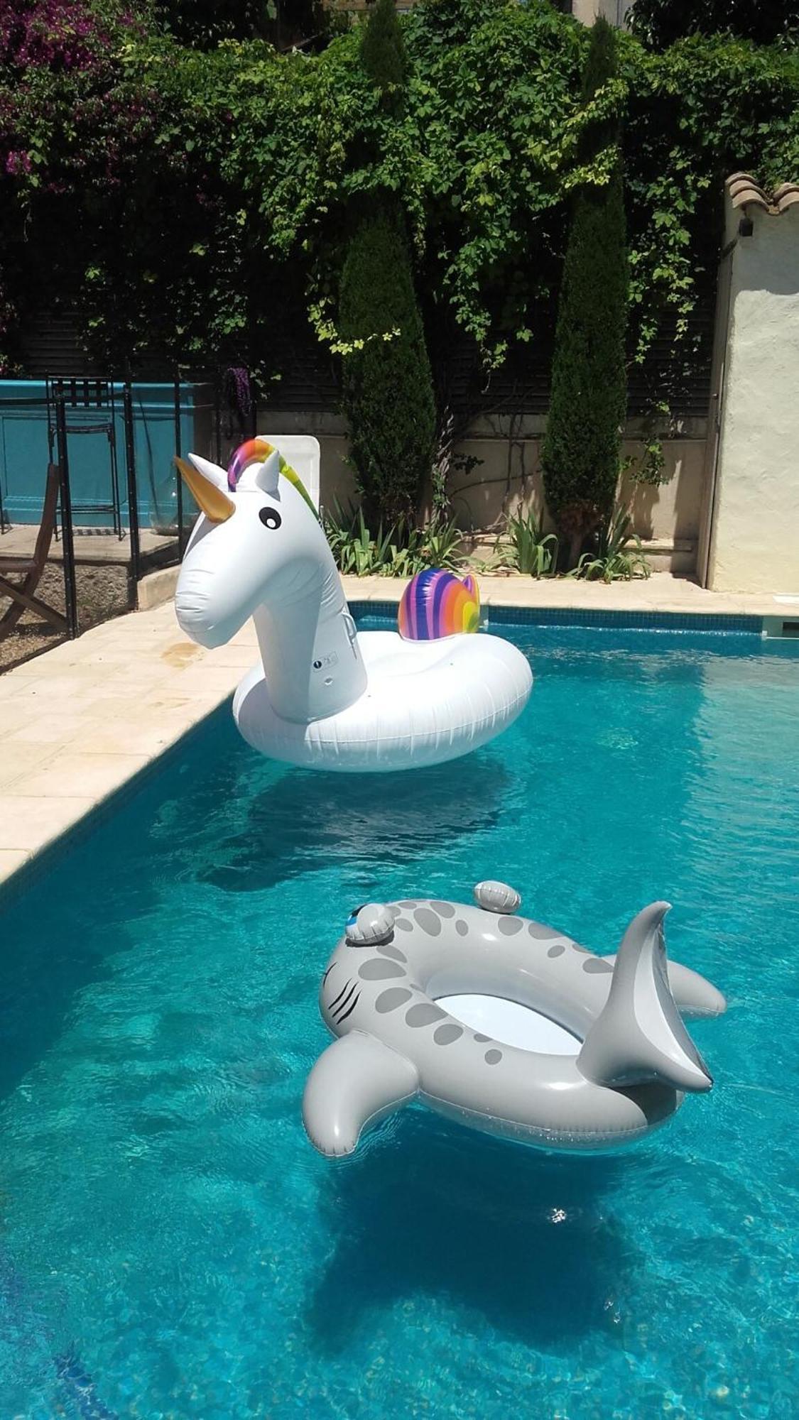 Maison Pelissier Bed And Breakfast With Sweeming Pool Cuxac-dʼAude Exterior foto